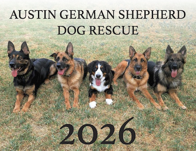 Austin German Shepherd Dog Rescue 2026
