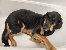 Joy in the tub