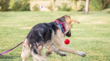 Playing with her ball